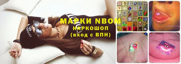 Альфа ПВП Магас