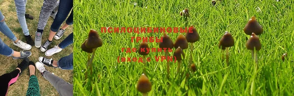 экстази Абинск