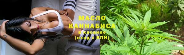 сатива Абаза