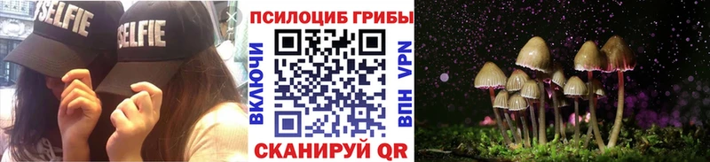 Галлюциногенные грибы мицелий Починок
